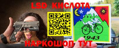 крисы Кинель