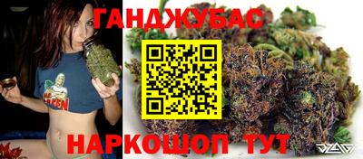 крисы Кинель