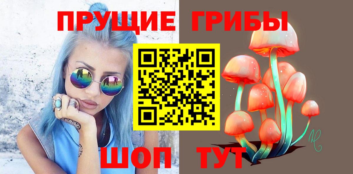Псилоцибиновые грибы мухоморы  Галлюциногенные грибы прущие грибы  Вход с VPN  что такое наркотик  Георгиевск 